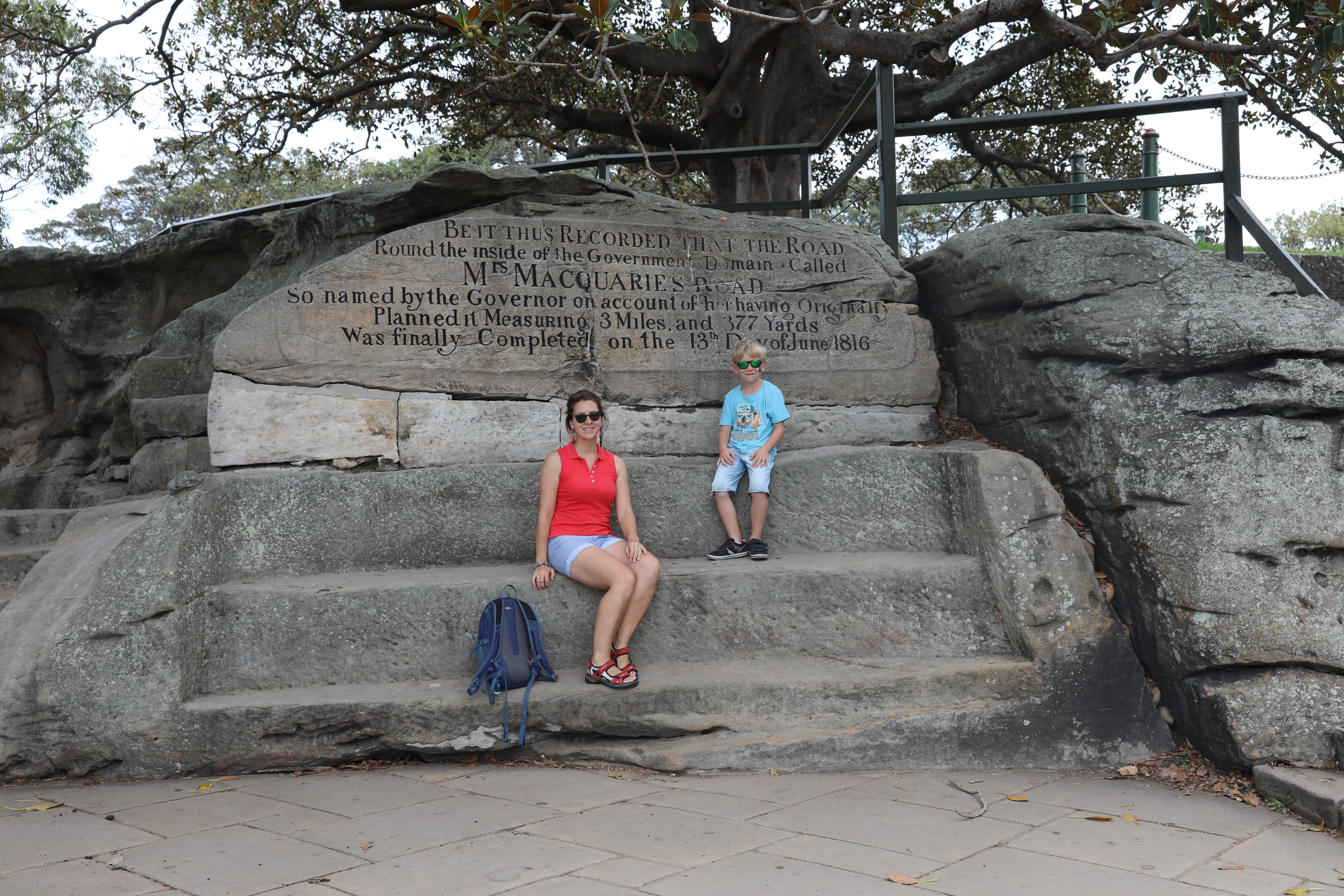 Mrs Macquarie's Chair im Royal Botanic Gardens